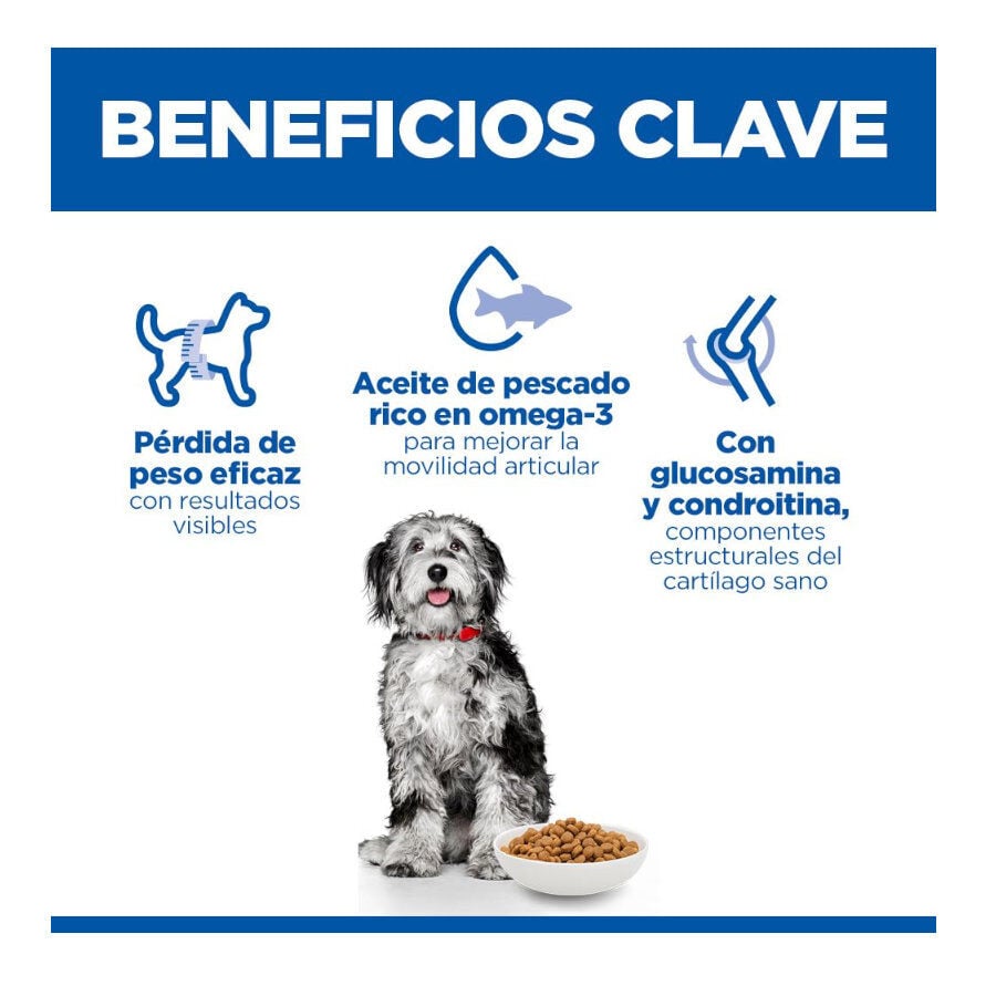 12 kg Hill's Science Plan Perfect Weight y Active Mobility pollo pienso para perros medianos, , large Imagen numero 3