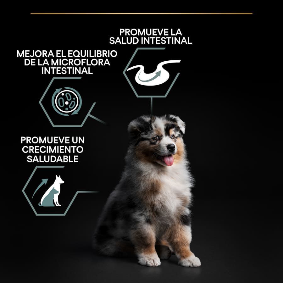12 kg Pro Plan Puppy  Medium Digesti&oacute;n Cordero pienso para perros, , large indicador imagen numero 3