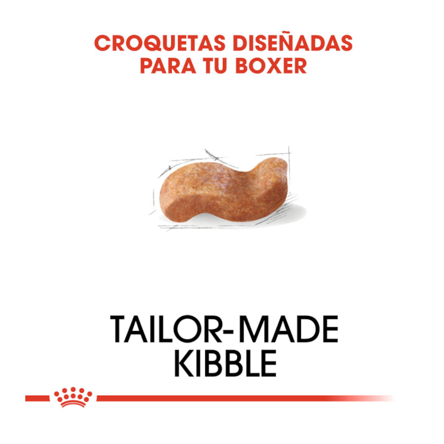 12 kg Royal Canin Adult Boxer pienso para perros, , large Imagen numero 5