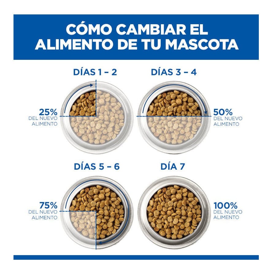 6 kg Hill's Science Plan Perfect Weight Adult Small y Mini pienso para perros, , large indicador imagen numero 6