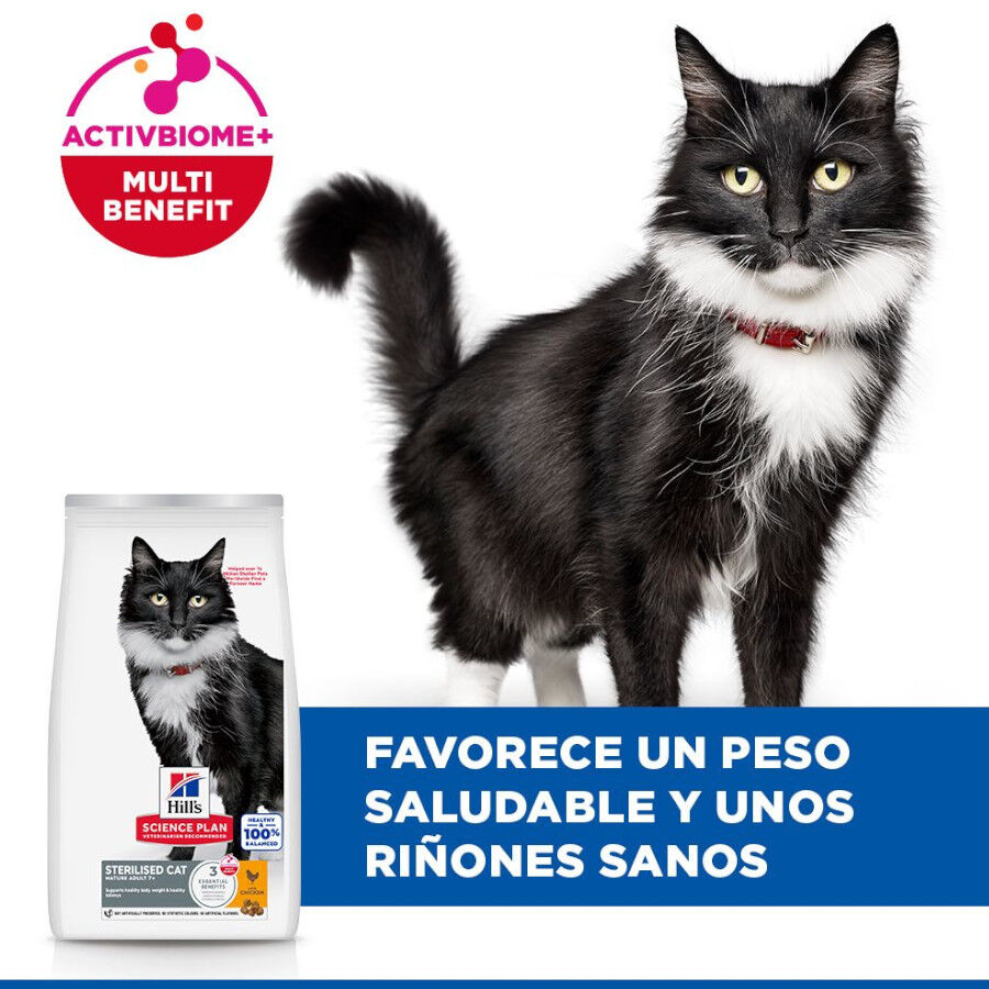 1.5 kg Hill's Science Plan Sterilised Mature Adult Pollo pienso para gatos, , large indicador imagen numero 4