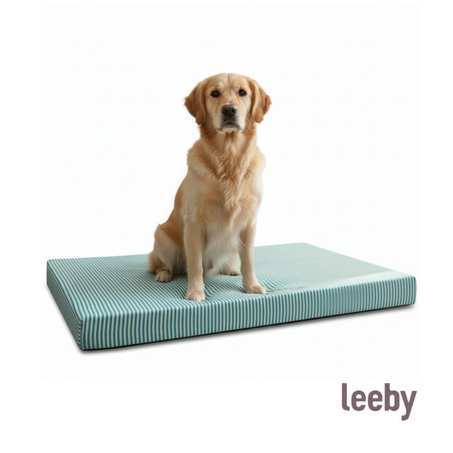 Leeby Colch&oacute;n Rayas Finas para perros, , large indicador imagen numero 7
