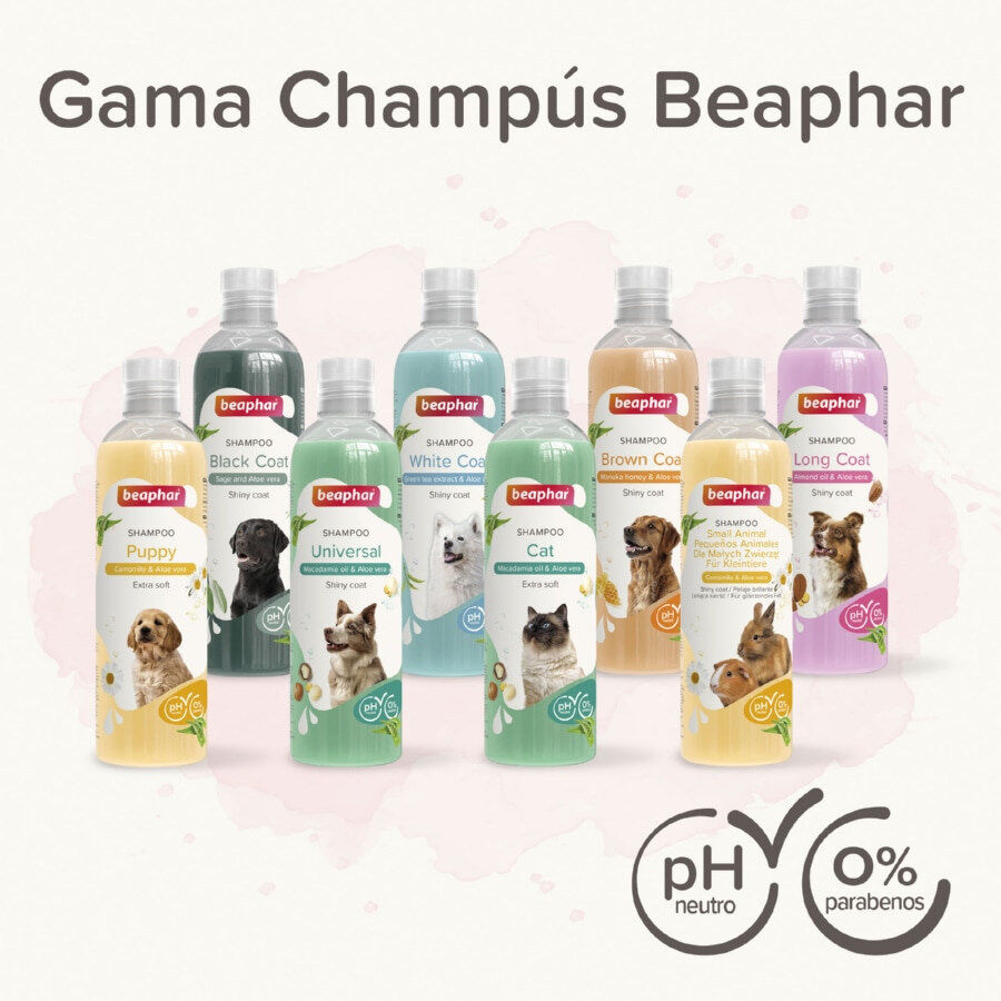 Beaphar Extra Soft Champ&uacute; para cachorros, , large indicador imagen numero 7