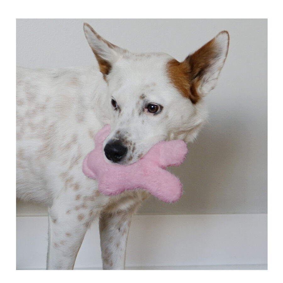 Kong Snuzzles Kiddos Conejo de peluche para cachorros, , large indicador imagen numero 2