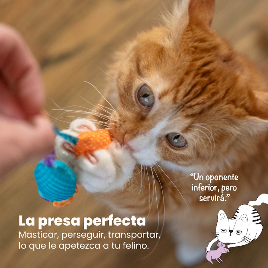 Catstages Chew Rat&oacute;n con Catnip para gatos, , large indicador imagen numero 2