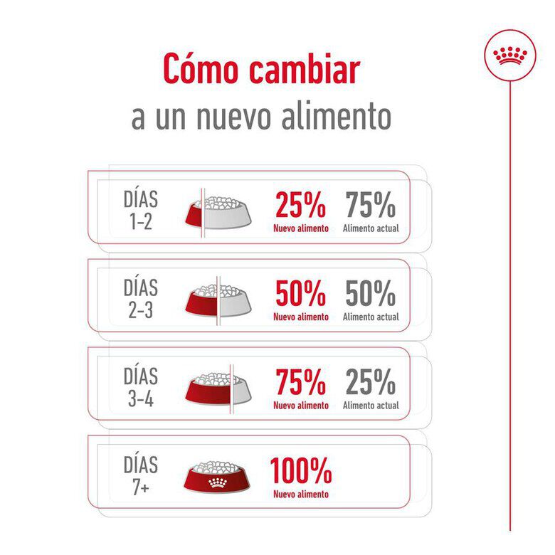 1.5 kg Royal Canin X-Small Ageing 12+ Adult pienso para perros&nbsp;senior, , large indicador imagen numero 11