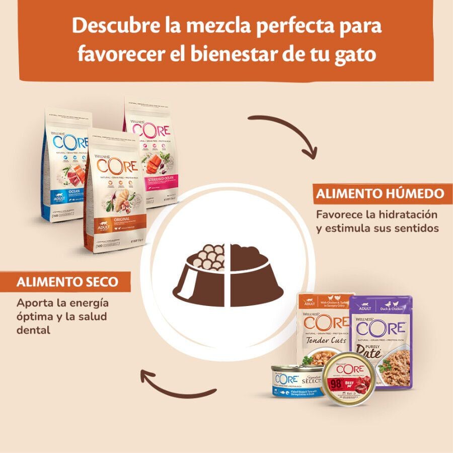 85 g Wellness Core Tender Cuts pollo y salm&oacute;n sobre en salsa para gatos, , large Imagen numero 5