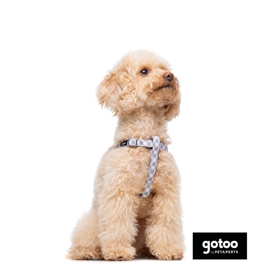 Gotoo Arn&eacute;s estampado cuadro vichy gris para perros, , large indicador imagen numero 4