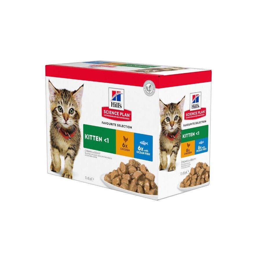 12 sobres x 85 g Hill's Science Plan Kitten Pollo y Pescado sobre para gatos , , large Imagen numero 1