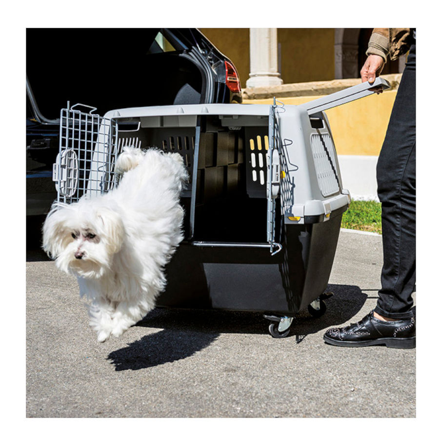 Stefanplast Gulliver Touring Transport&iacute;n para perros, , large indicador imagen numero 3