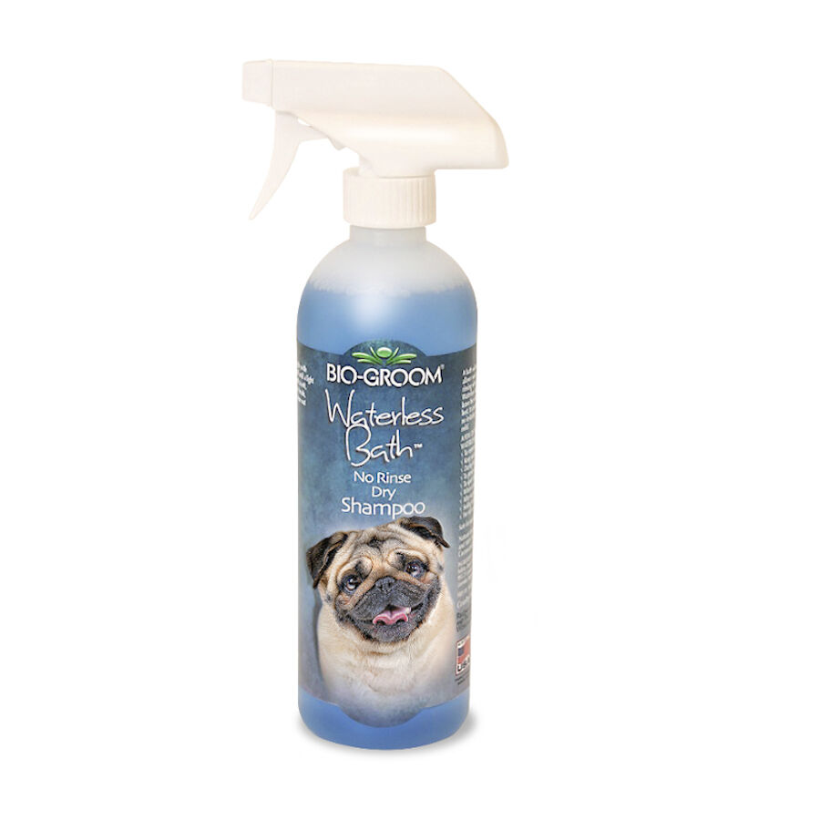 Bio Groom Waterless Bath Champ&uacute; Seco para perros