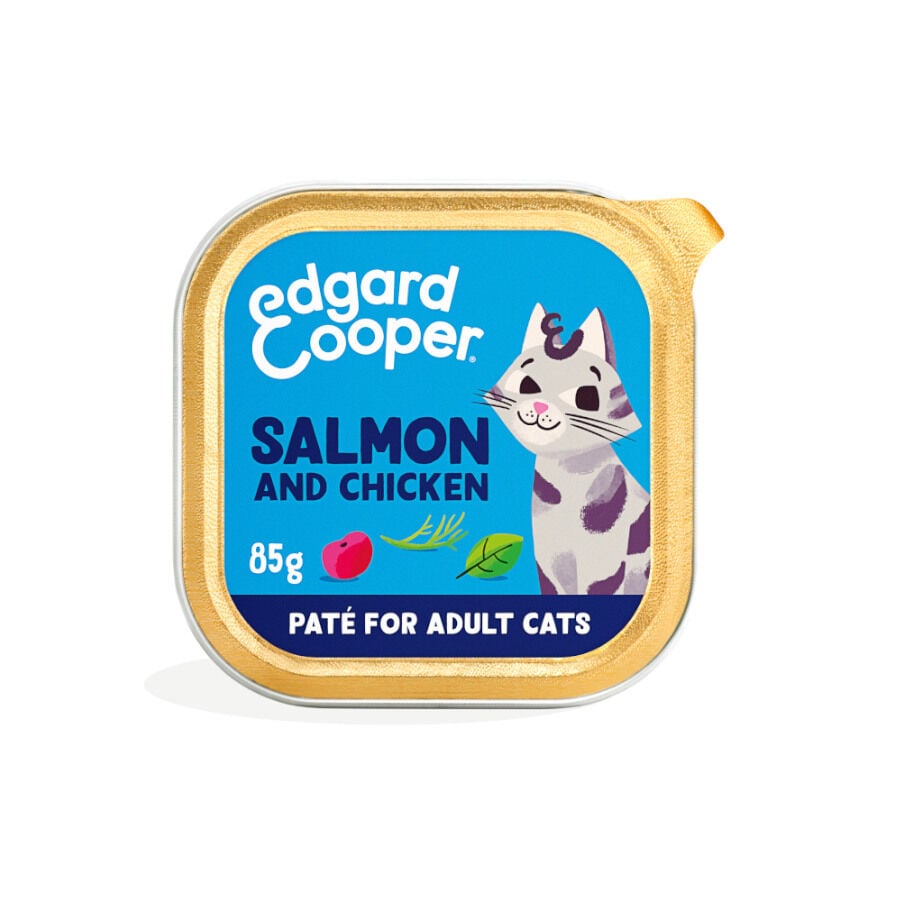 Edgard & Cooper Adult Salm&oacute;n y Pollo en Pat&eacute; tarrina para gatos