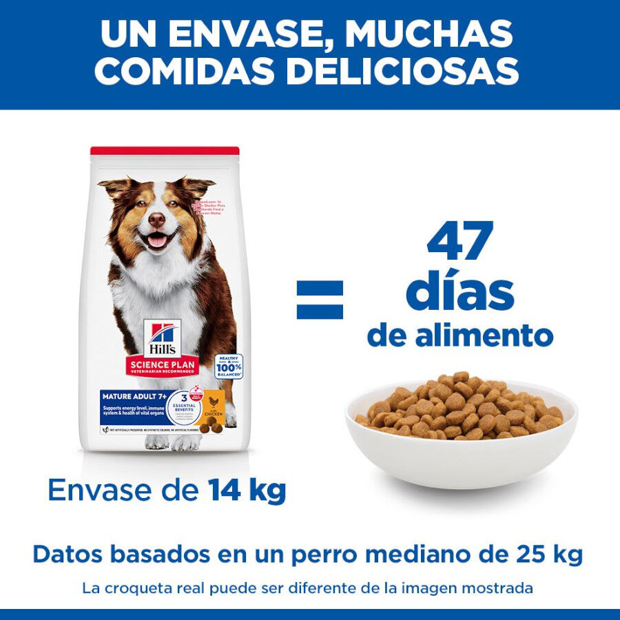 14 kg Hill's Science Plan Mature Adult Medium Pollo pienso para perros, , large Imagen numero 6