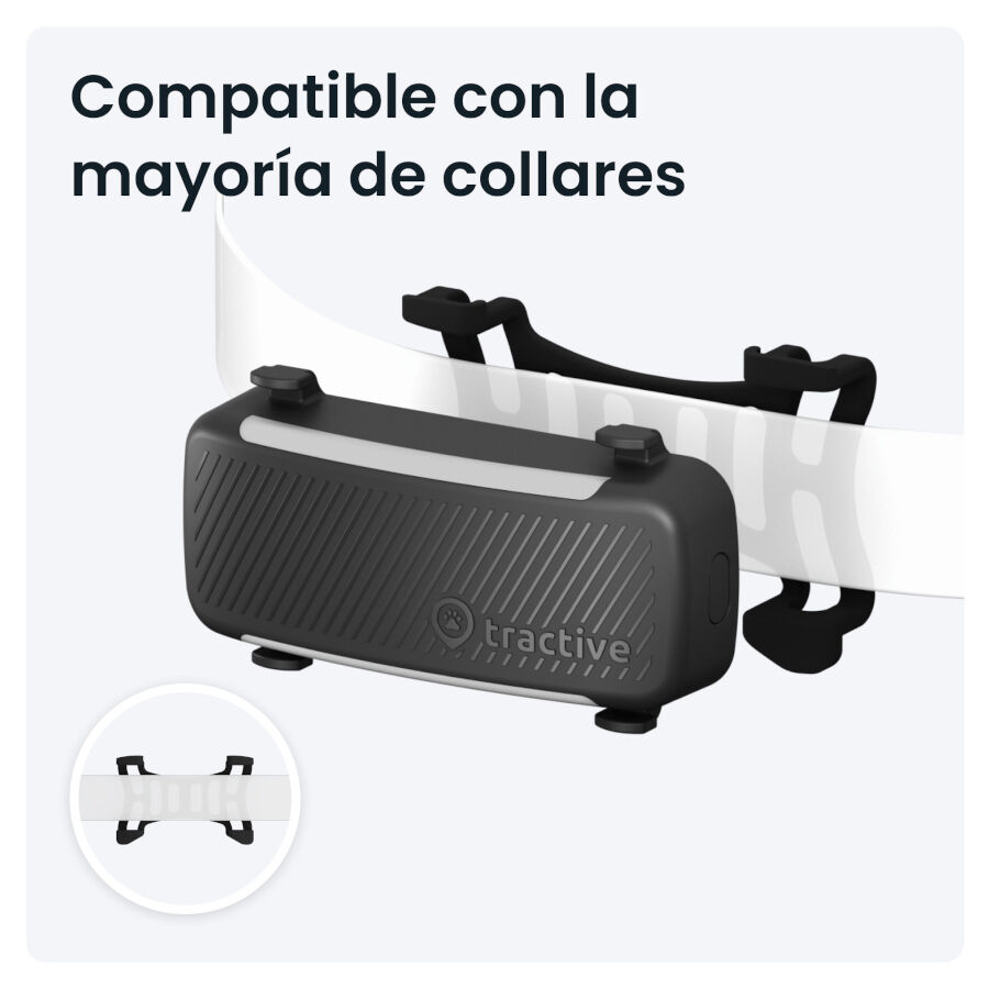 Tractive GPS Dog 6 Negro Rastreador para perros, , large indicador imagen numero 3