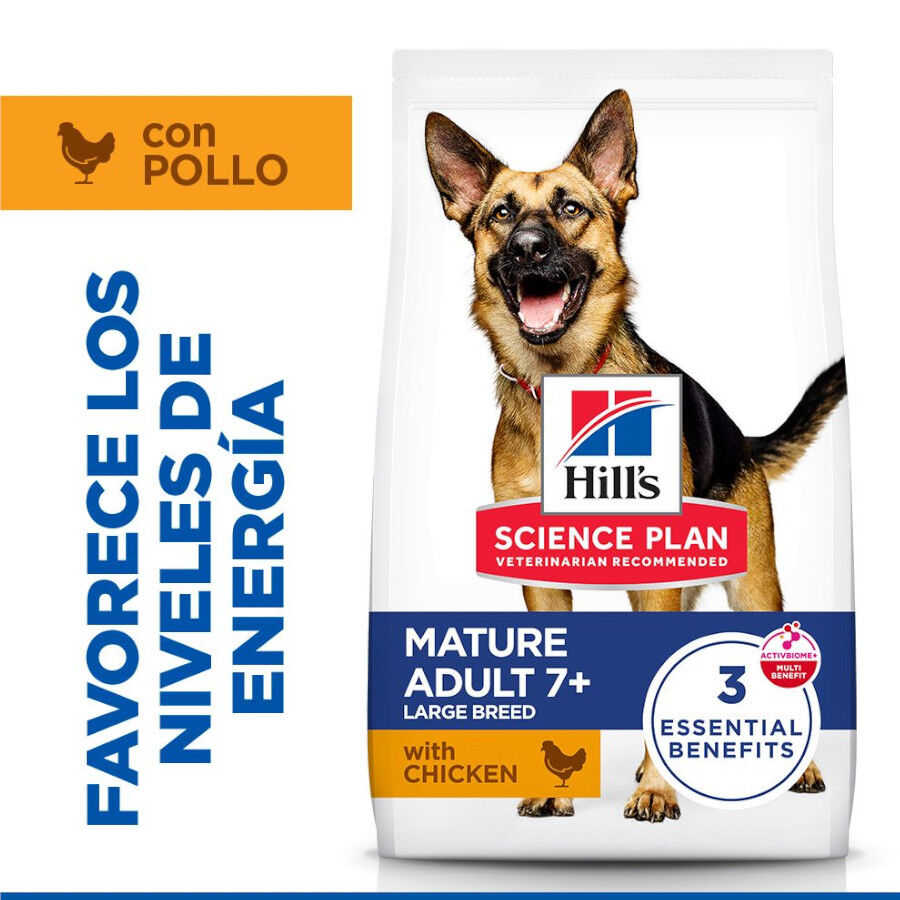 Hill's Science Plan pienso pollo para perros mayores de razas grandes