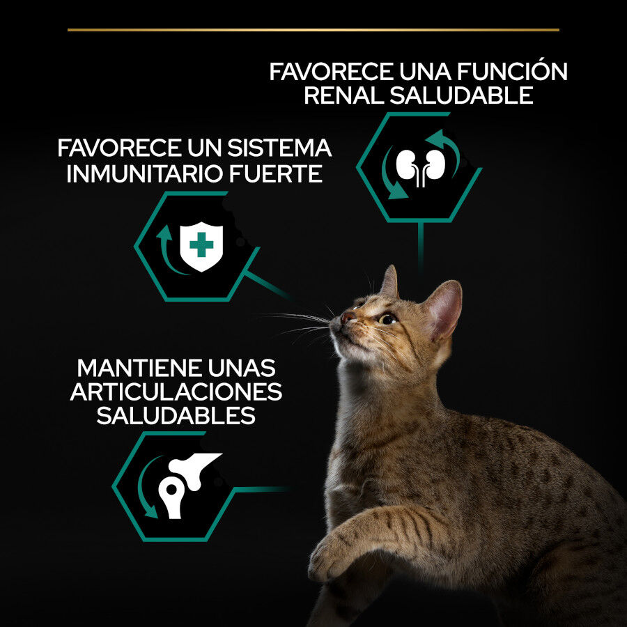 10 kg Pro Plan Adult Renal Plus Pollo Pienso para gatos, , large Imagen numero 3