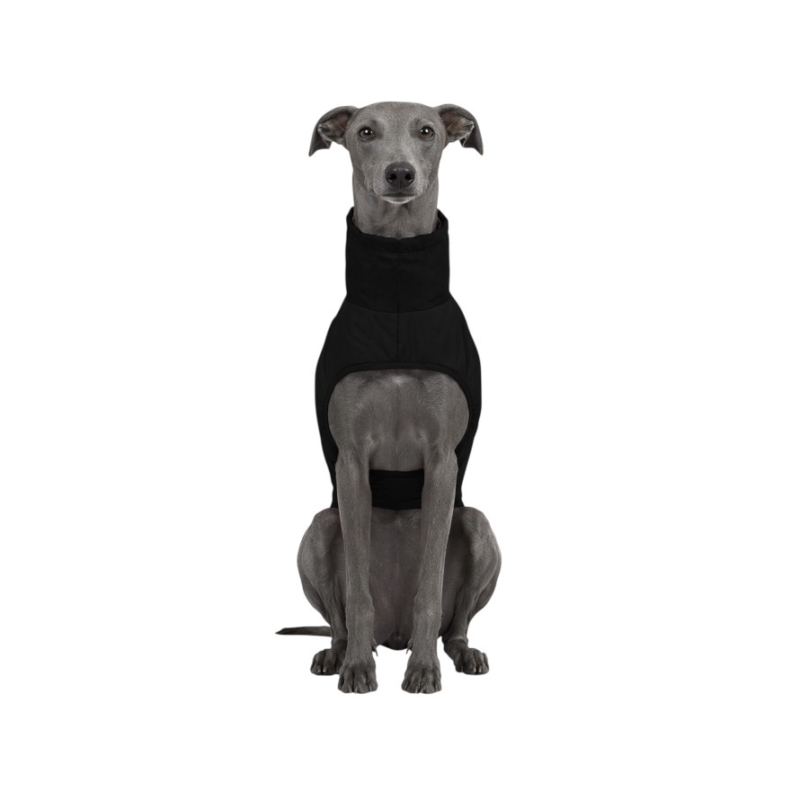 Gotoo Chaqueta Impermeable Negro para galgos, , large indicador imagen numero 7