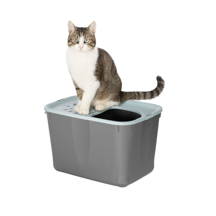 Nice Care Eco Arenero Micia Azul para gatos, , large Imagen numero 1