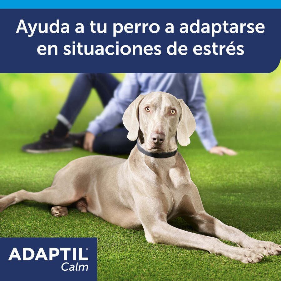 Adaptil Collar Tranquilizante para perros, , large Imagen numero 2