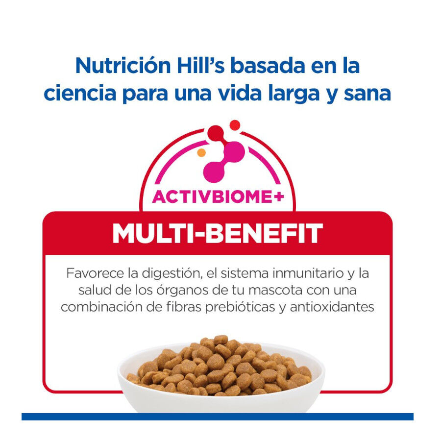 10 kg Hill's Science Plan Adult Pienso Salm&oacute;n para gatos, , large indicador imagen numero 7