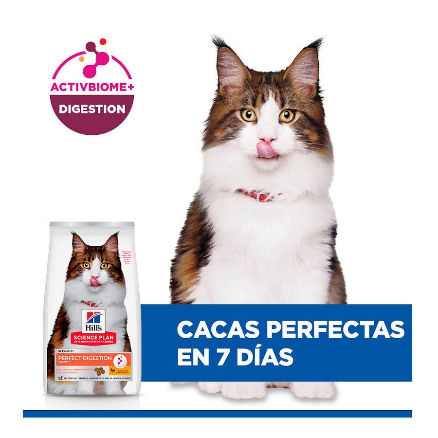 7 kg Hill's Science Plan Perfect Digestion Adult Pollo Pienso para gatos, , large indicador imagen numero 4