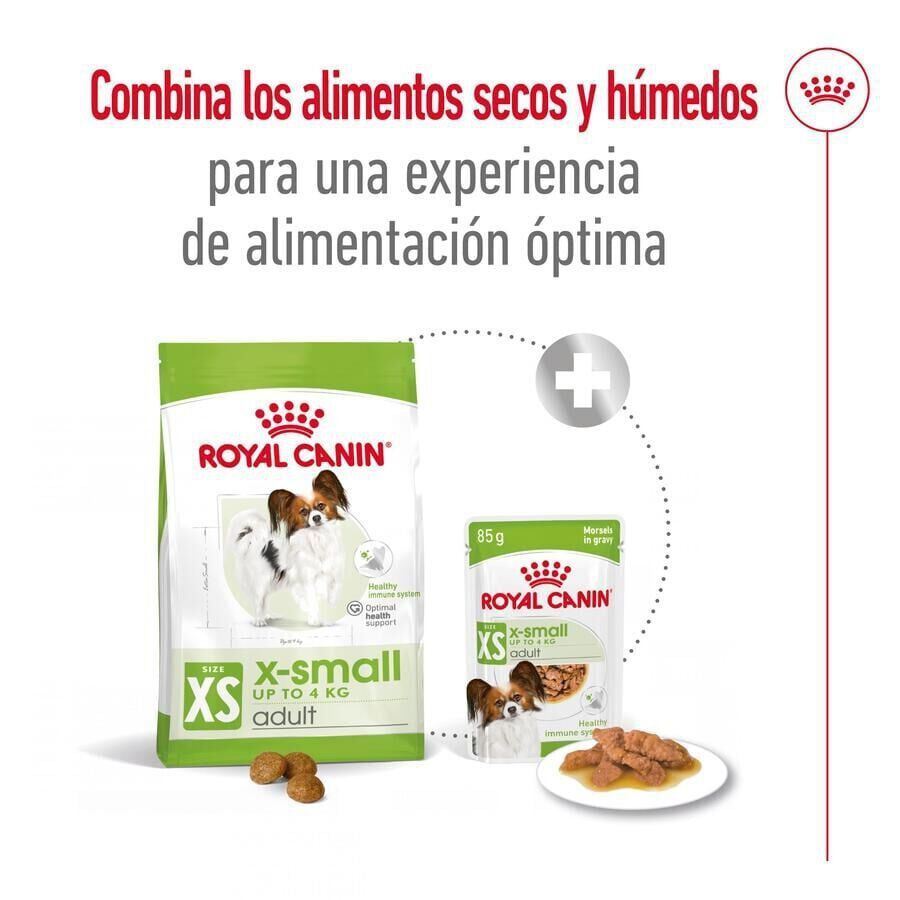 3 kg Royal Canin X-Small Adult pienso para perros, , large indicador imagen numero 7