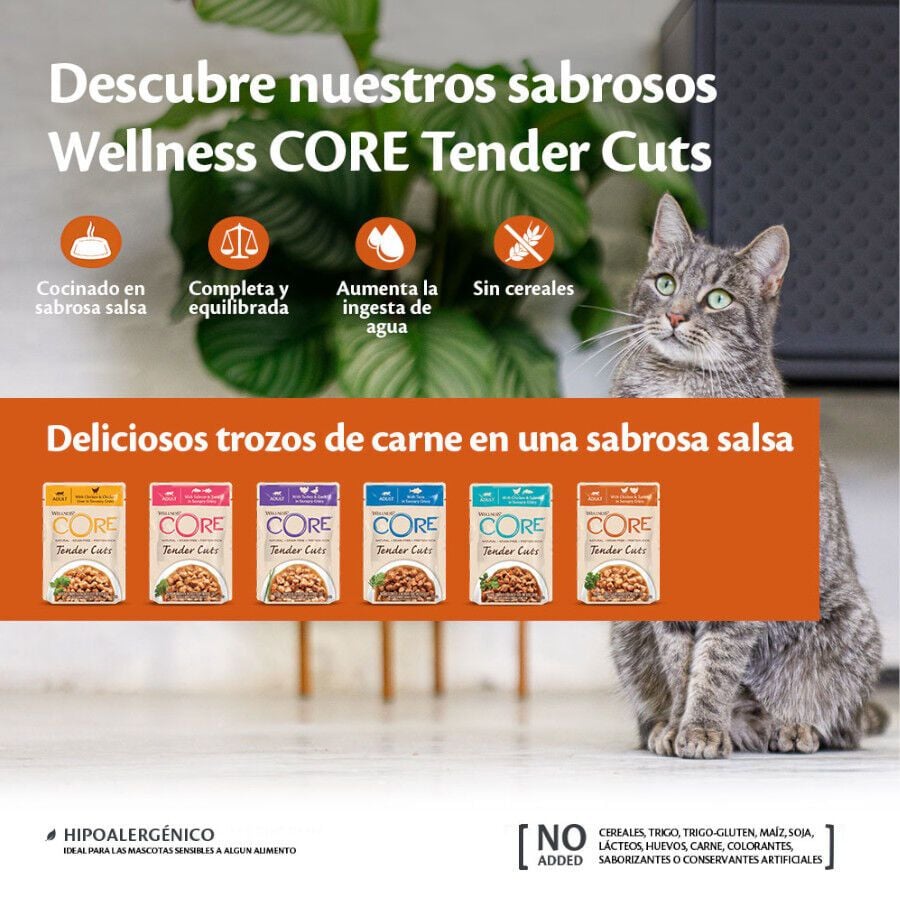 85 g Wellness Core Tender Cuts pollo y salm&oacute;n sobre en salsa para gatos, , large indicador imagen numero 3