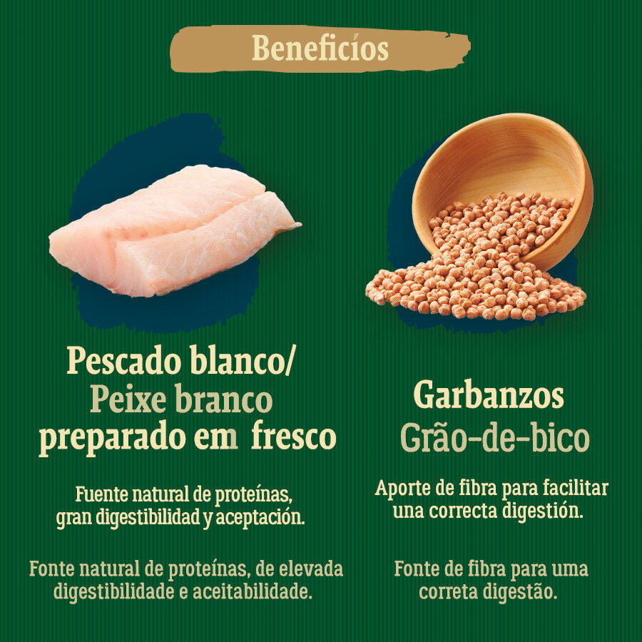 True Origins Wild Golden Coast con Pescado blanco pienso para perros, , large Imagen numero 5