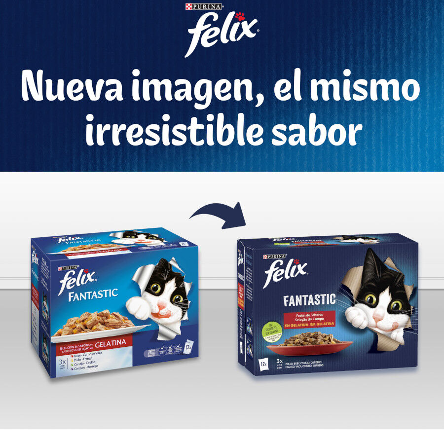 12 sobres x 85 g Felix Fantastic Selecciones Favoritas sobres en gelatina , , large indicador imagen numero 8
