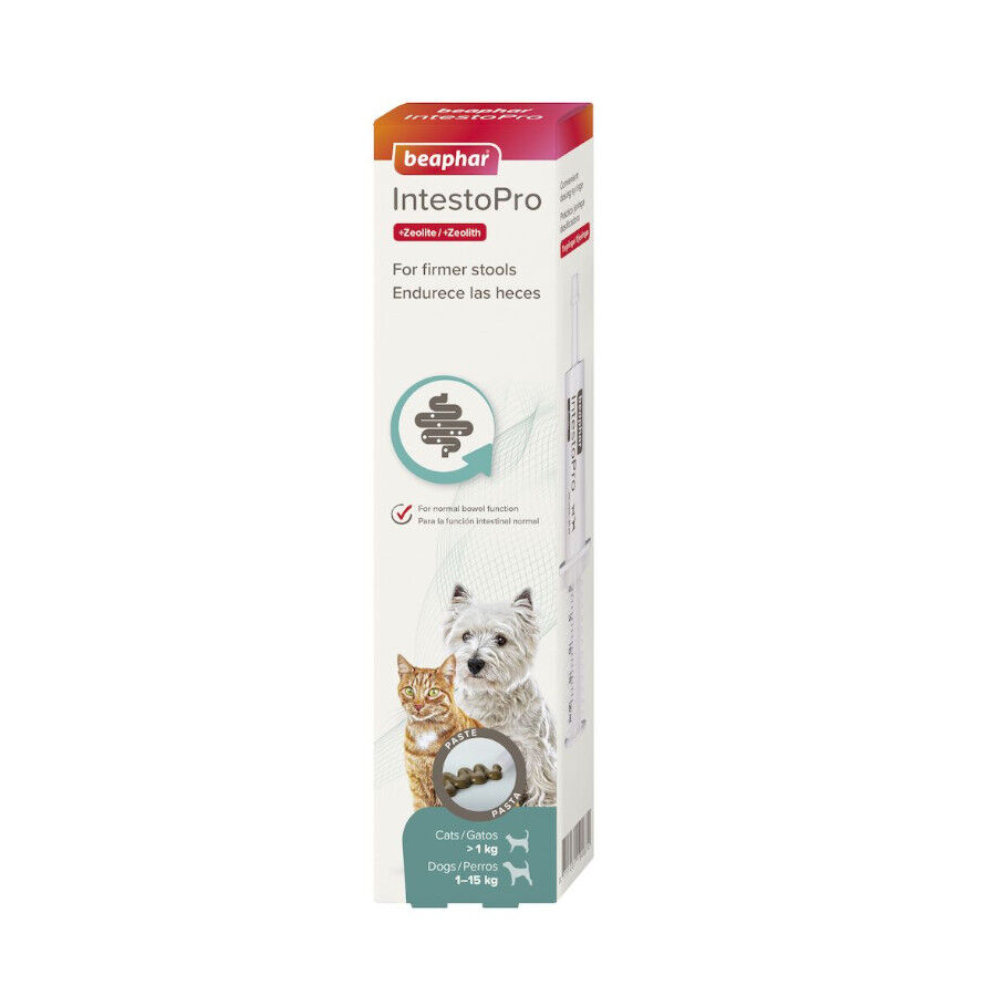 20 ml Beaphar IntestoPro Regulador Intestinal en Pasta para cachorros y gatos, , large Imagen numero 1