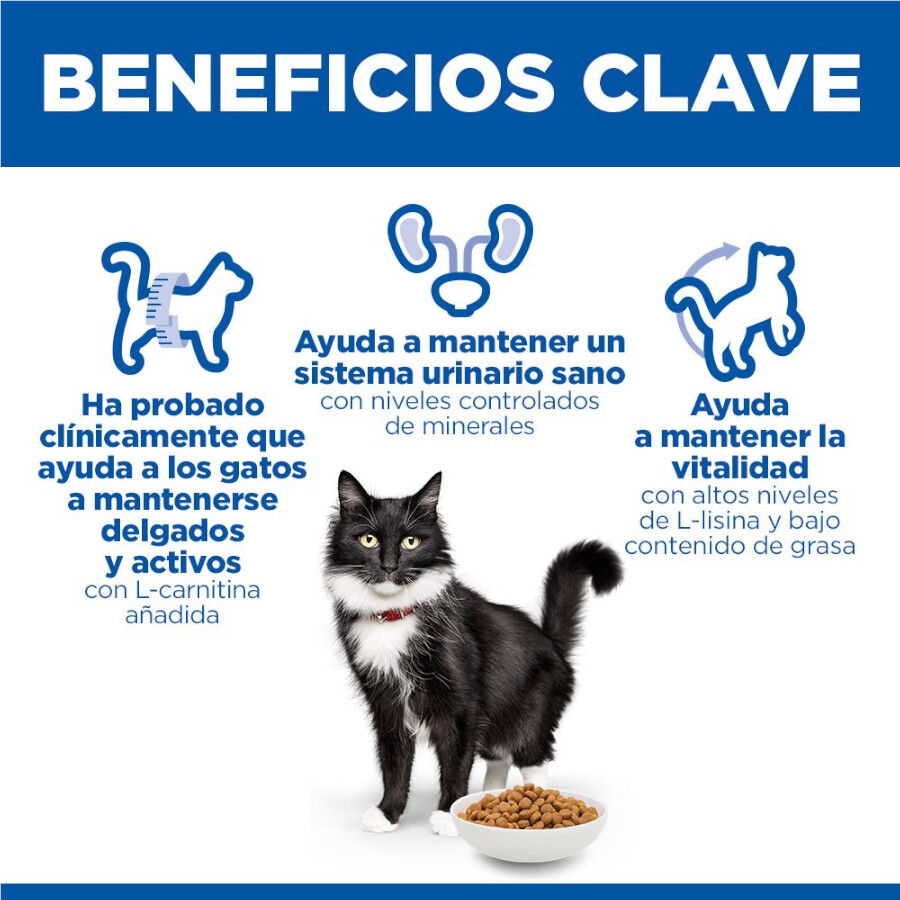 1.5 kg Hill's Science Plan Sterilised Mature Adult Pollo pienso para gatos, , large indicador imagen numero 5