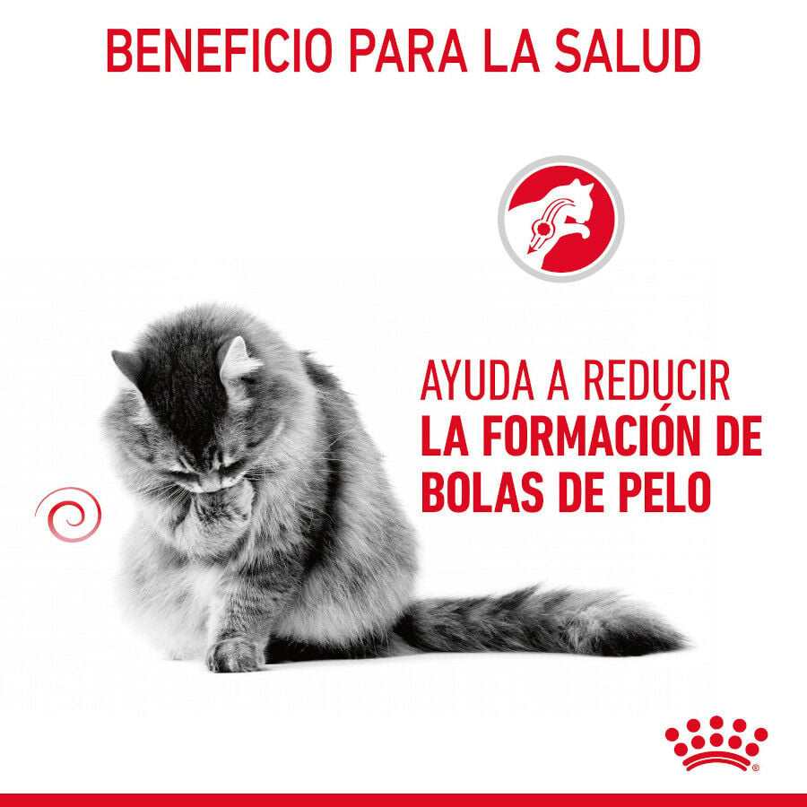 85 g Royal Canin Hairball Care Sobre en Gelatina para gatos, , large indicador imagen numero 4