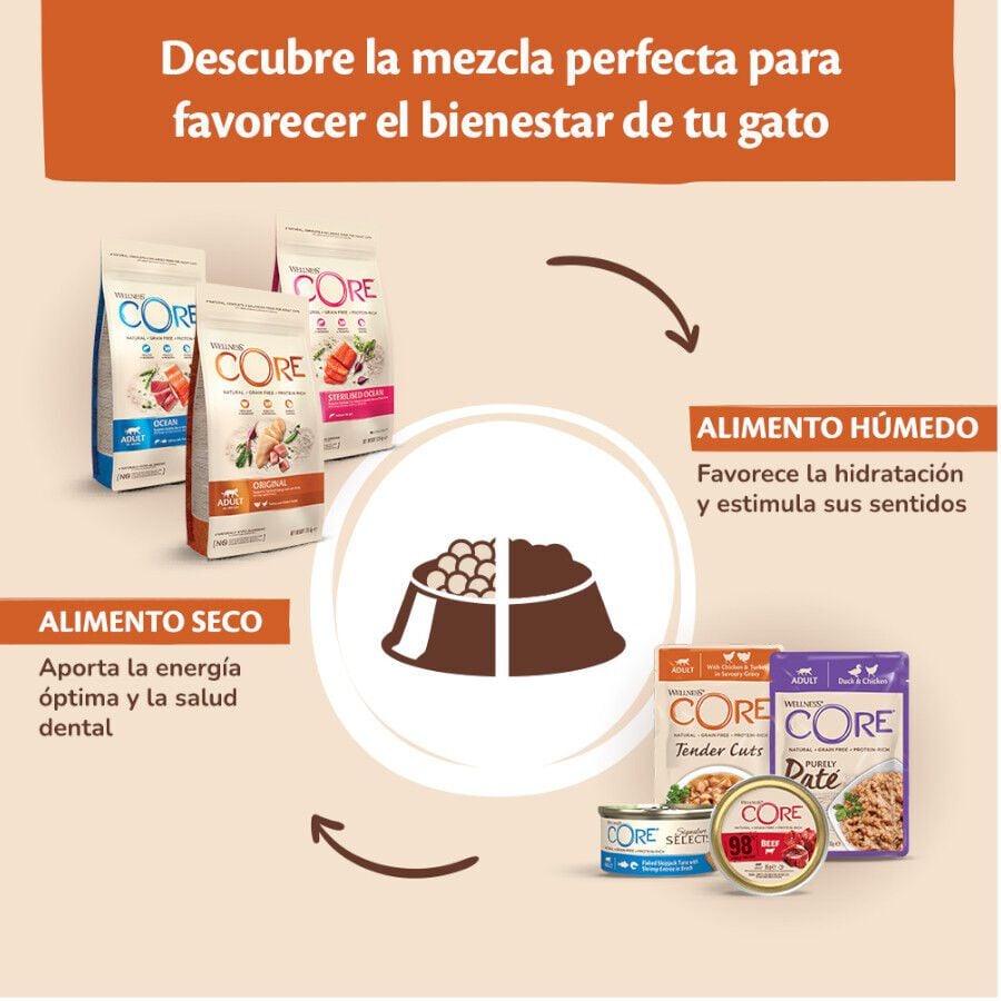 79 g Wellness Core Flaked Salm&oacute;n lata para gatos, , large indicador imagen numero 5