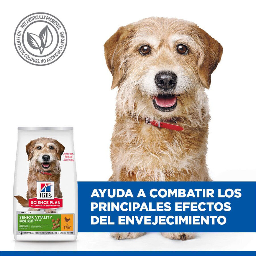 1.5 kg Hill's Science Plan Youthful Vitality Adult +7 Small y Mini Pollo pienso para perros, , large indicador imagen numero 7