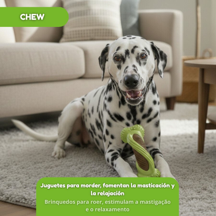 Tootoy! Hueso Mordedor Dental Verde y Marr&oacute;n para perros, , large indicador imagen numero 5