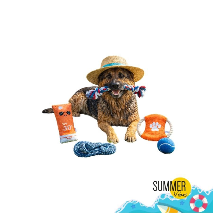 Summer Vibes The Beach Club Set Juguetes para perros, , large indicador imagen numero 1