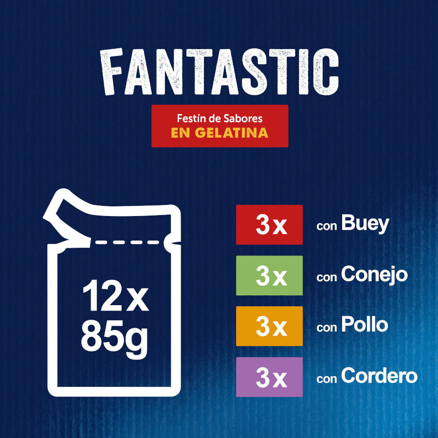 24 sobres x 85 g Felix Fantastic Carne en Gelatina sobre para gatos, , large Imagen numero 4