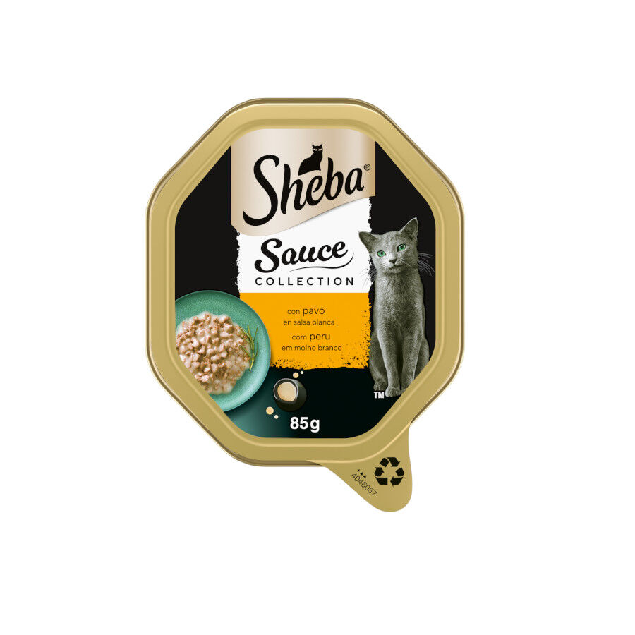 Sheba Tarrina en Salsa Pavo para gatos