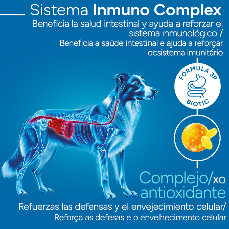 12 kg Criadores Cient&iacute;fico Light -46% contenido graso Adulto Medium-Maxi Pienso Pollo para perros, , large Imagen numero 3