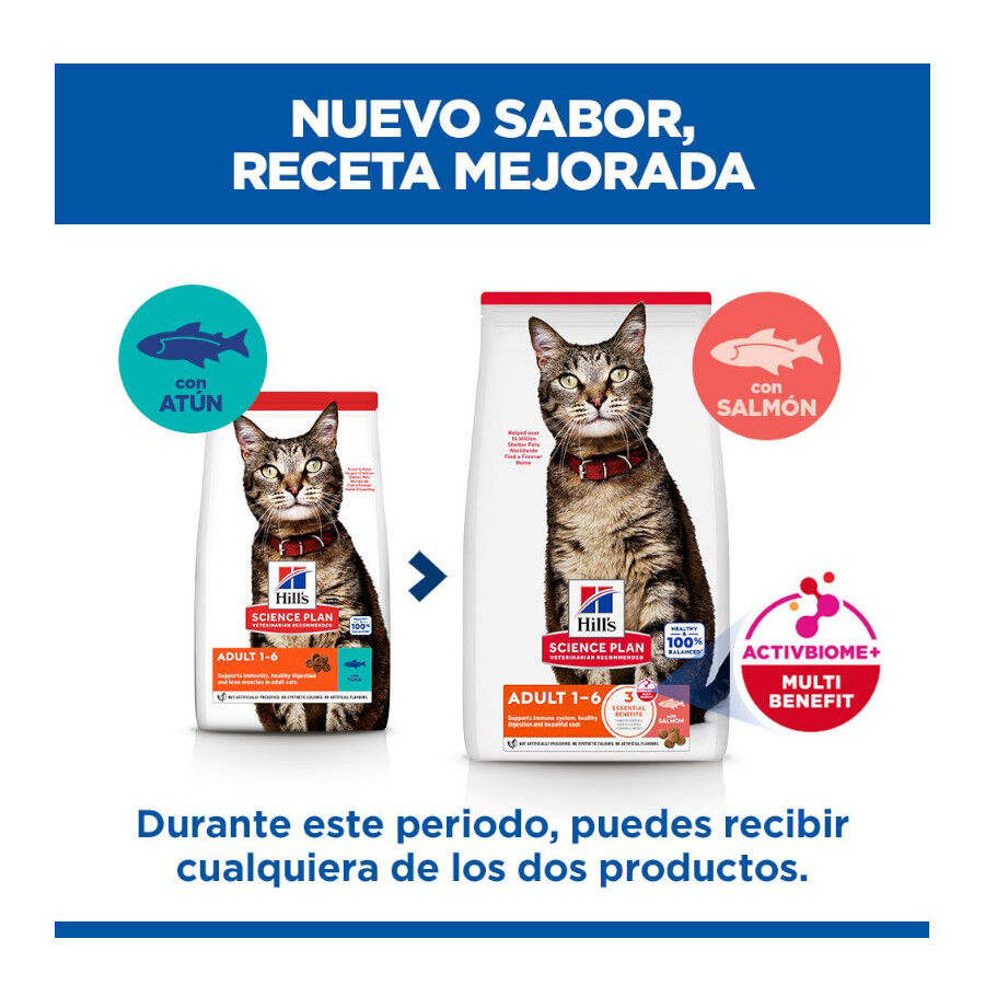 10 kg Hill's Science Plan Adult Pienso Salm&oacute;n para gatos, , large Imagen numero 3