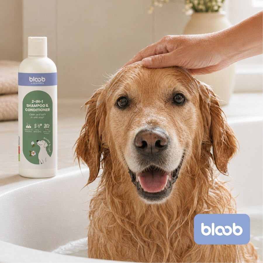 Bloob 2 en 1 Champ&uacute; & Acondicionador para perros, , large indicador imagen numero 2