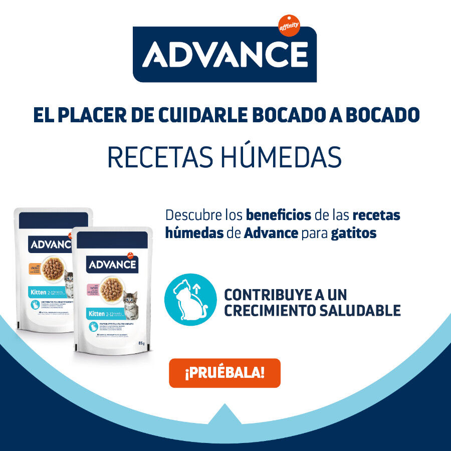12 sobres x 85 g (9 + 3 &iexcl;gratis!) Advance Kitten Pollo en salsa sobre para gatos&nbsp;, , large indicador imagen numero 4