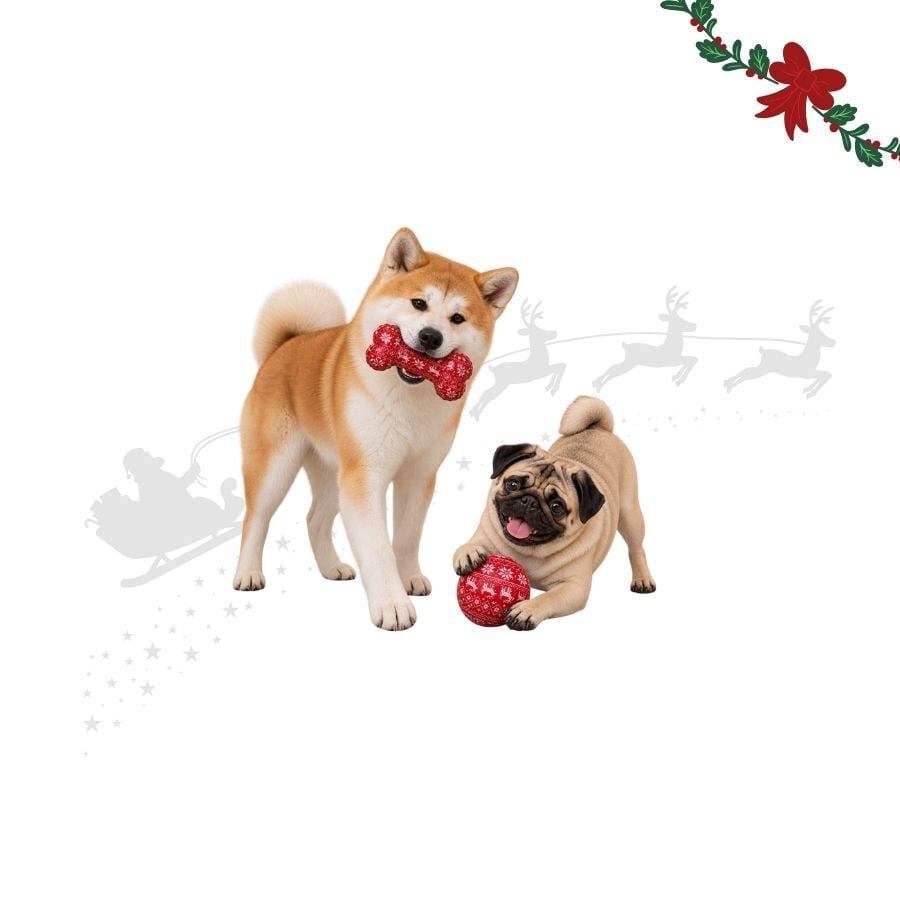 Wonder Christmas Hueso y Pelota Juguete para perros, , large Imagen numero 1