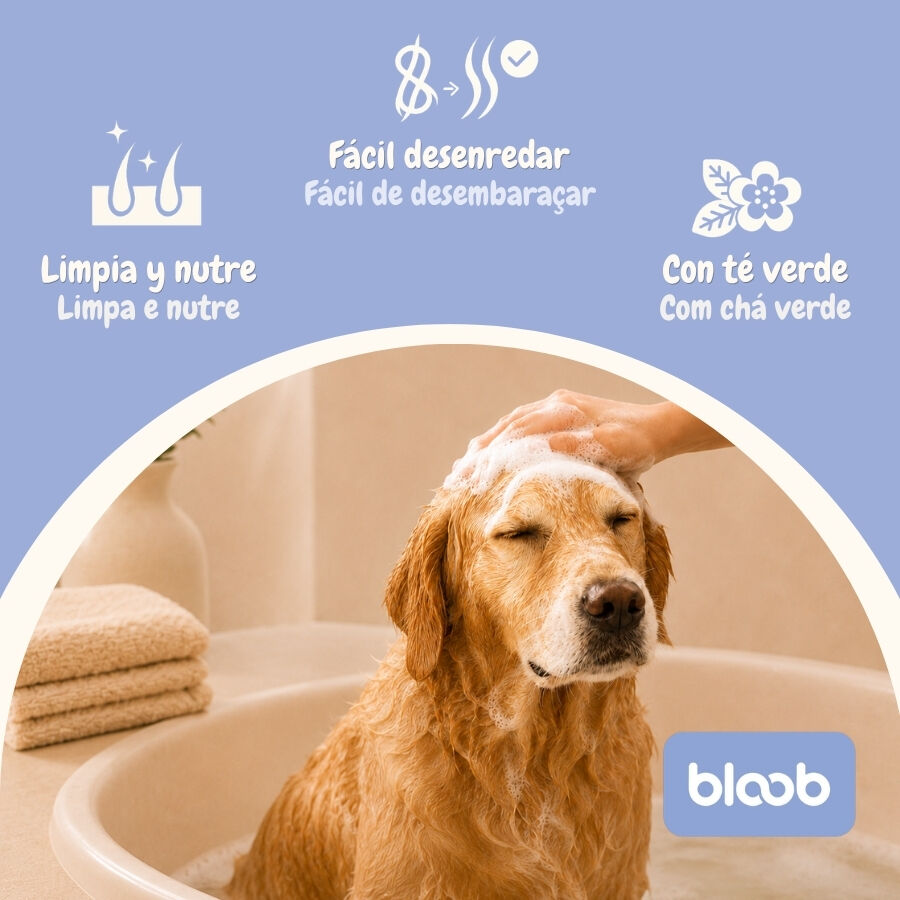 Bloob 2 en 1 Champ&uacute; & Acondicionador para perros, , large indicador imagen numero 3