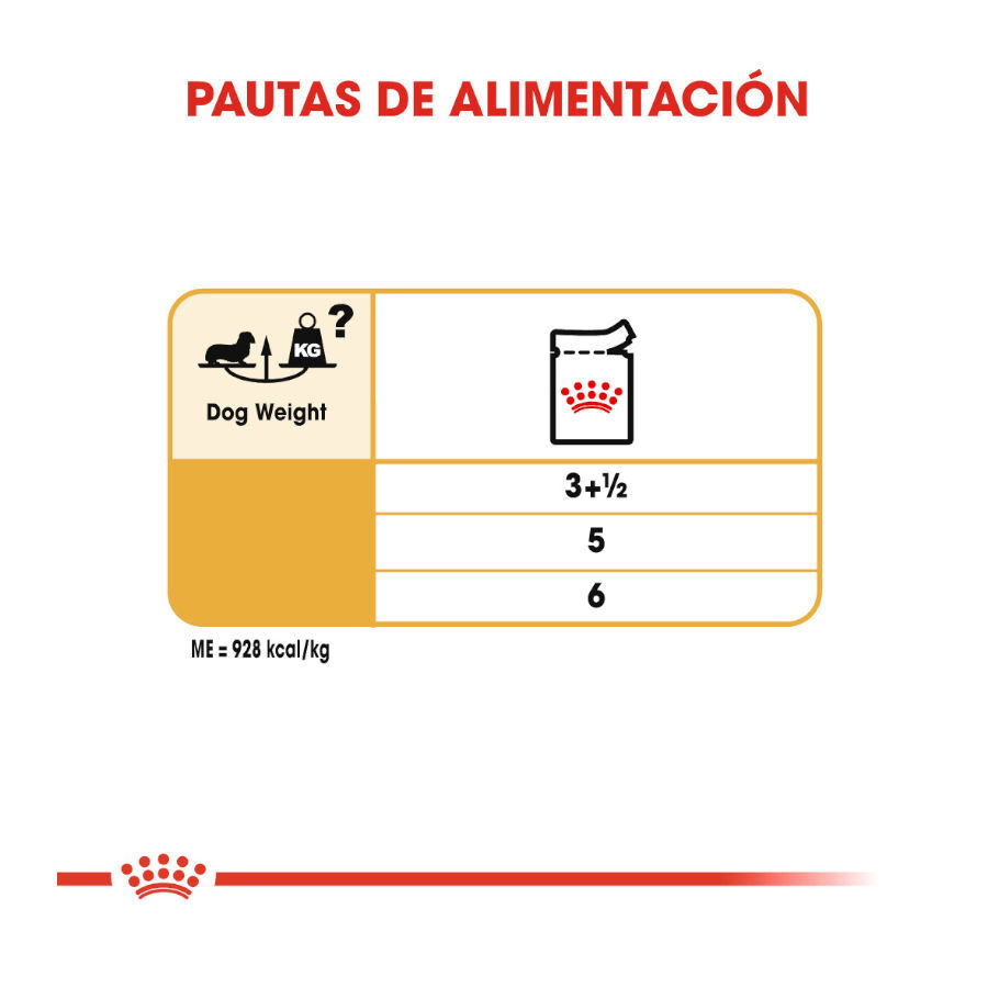 85 g Royal Canin Adult Teckel pat&eacute; en sobre para perros, , large Imagen numero 8