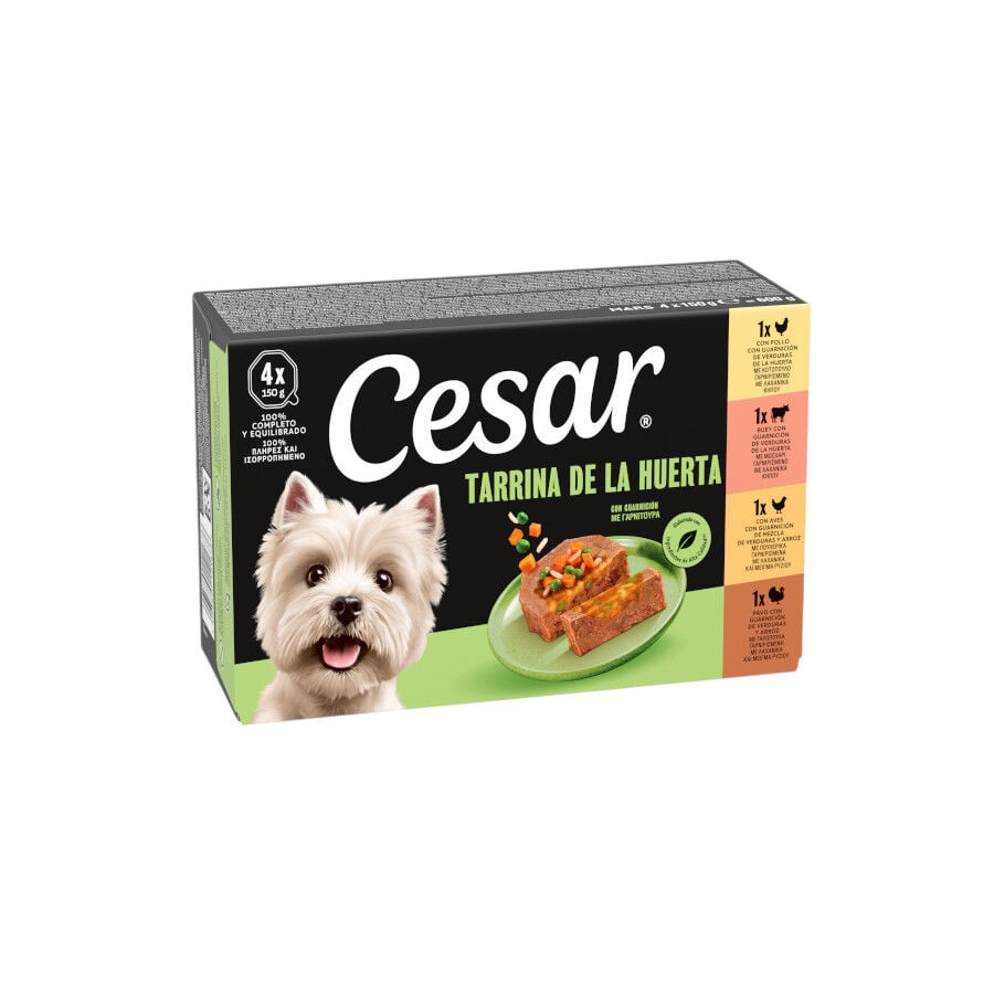 4 tarrinas x 150 g Cesar Recetas de la huerta Tarrina en Pat&eacute; y Gelatina para Perros , , large Imagen numero 1