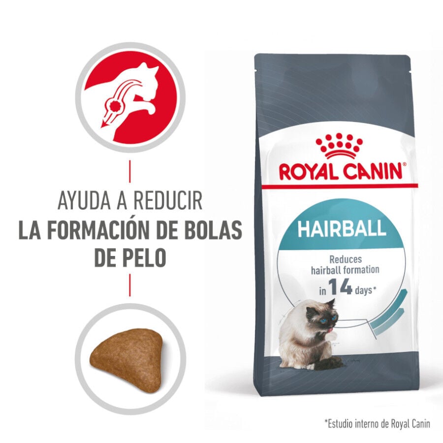 10 kg Royal Canin Intense Hairball pienso para gatos, , large indicador imagen numero 2