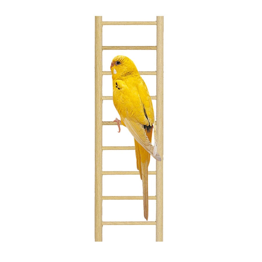 Ferplast PA 4006 escalera para p&aacute;jaros