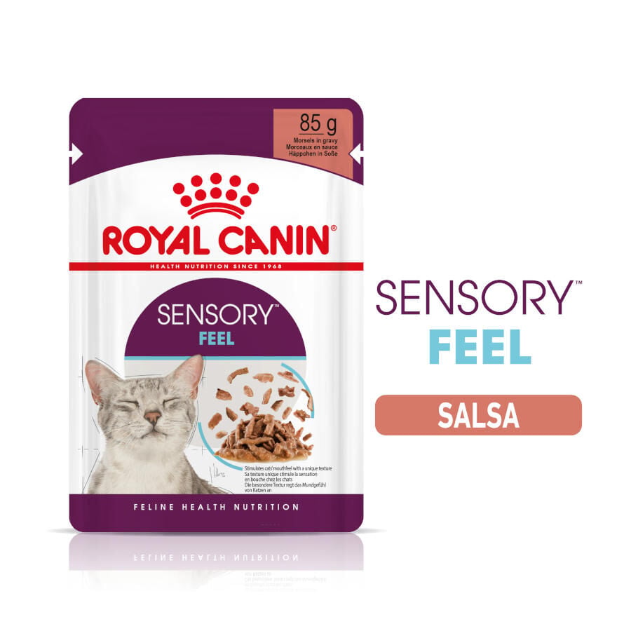 85 g Royal Canin Adult Sensory Feel salsa sobre para gatos, , large Imagen numero 1