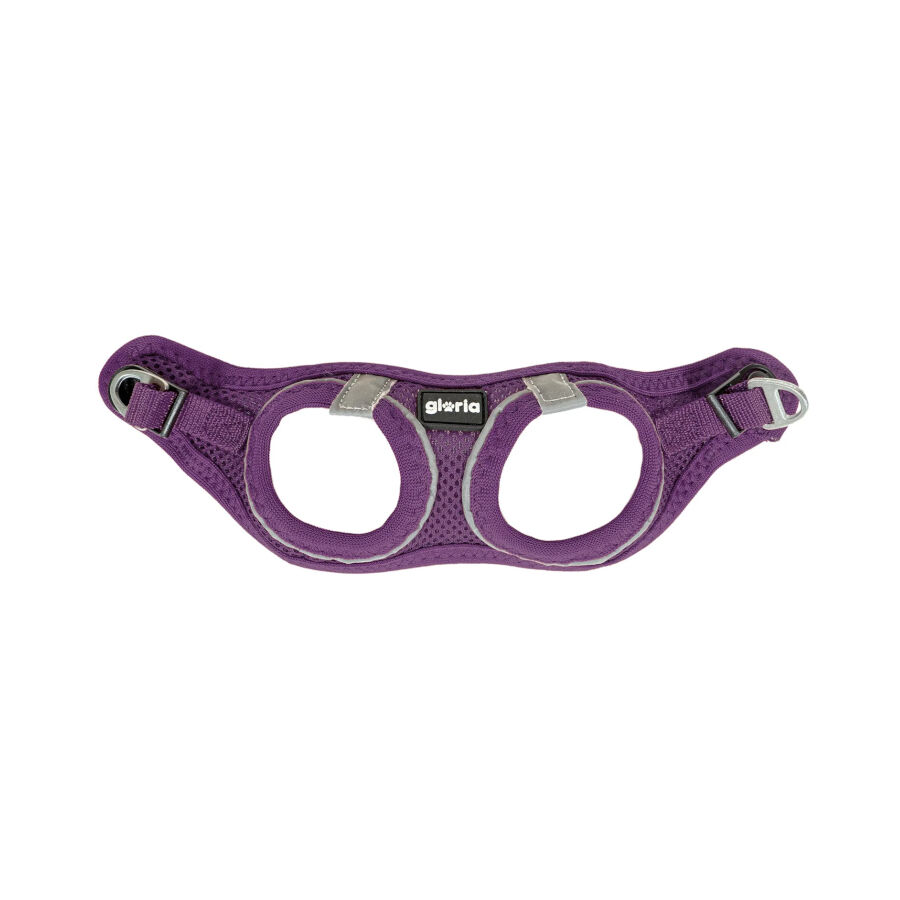 Gloria Air Mesh Trek Star Arn&eacute;s Morado para perros, , large Imagen numero 2